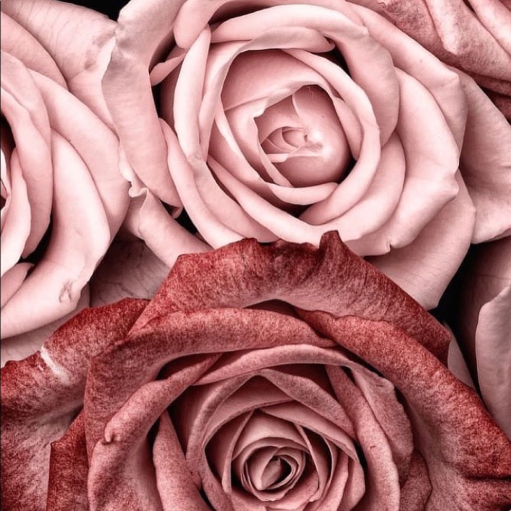 Meet your Posher, Eliane